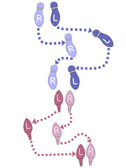 Dance Steps Footprints Ballroom Instructions