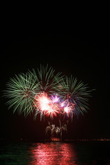 colorful dandelion fireworks