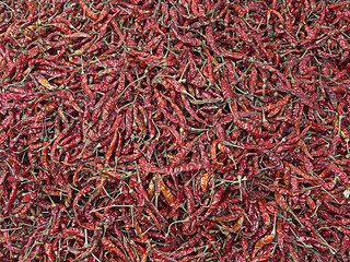 Fototapeta premium chilly texture