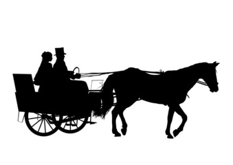 Horse And Carriage Wedding 4