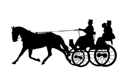 Horse And Carriage Wedding 5