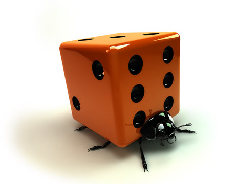 Coccicube