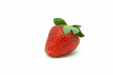 Berries of the strawberry