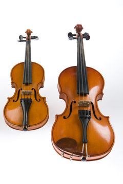 The violins