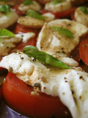 Tomate und Mozzarella