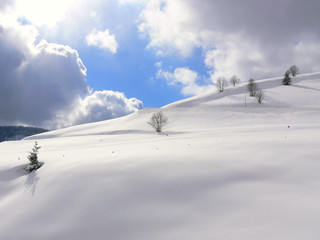 Naklejka na ściany i meble Winter im Südschwarzwald