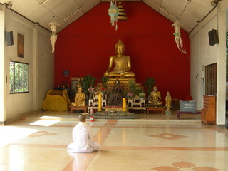 Fototapeta premium nonne im tempel in thailand