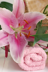Pink Lilies in Spa