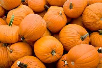 piles of pumpkins in the fall