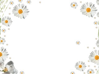 sommerlicher Hintergrund © imaginando