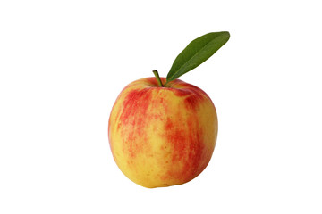 Apfel