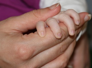 mother and baby hands old and young - 7770532