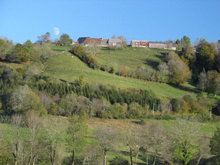 Naklejka premium Massif, central, Mont d’Or, Auvergne, volcan