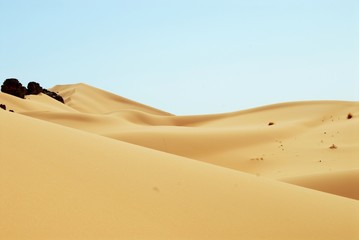 Fototapeta na wymiar ventre du désert