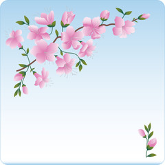 Blossoming branch. Pink flowers.