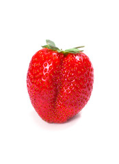 fresh strawberry