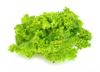 Lettuce crisp perfect isolated on white background