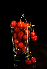 Fototapeta na wymiar cherry