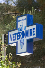 Fototapeta premium Enesigne vétérinaire