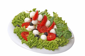 Mozarella mit Tomaten