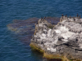 sea coast. The western Crimea. Tarhankut