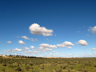 Grassy Plains - Willandra Lakes National Park, UNESCO, Australia