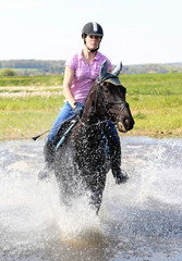 reiten