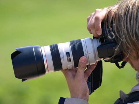Fototapeta Paparazzi