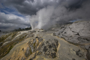 Geysir in Neuseeland