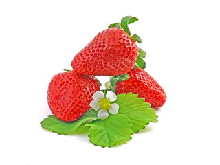 erdbeeren