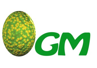 ogm,organisme génétiquement modifié