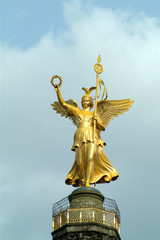 Fototapeta premium Goldelse