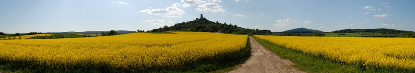 Panorama mit blühenden Raps und blauem Himmel