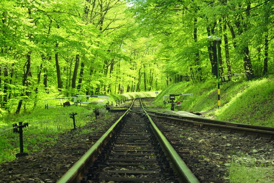 Fototapeta railway
