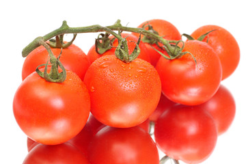 Seven tomatoes with reflection