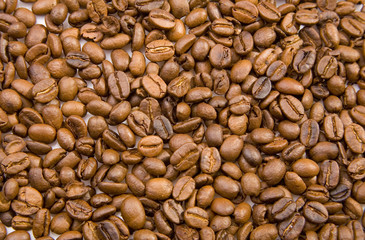 coffee beans