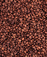 Fototapeta premium Coffee Beans