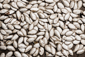 Monochromatic pumpkin seeds.