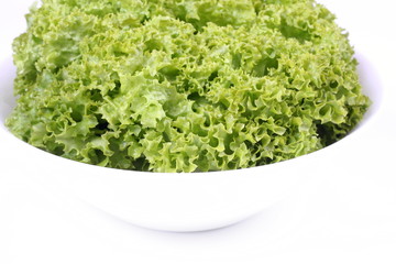 Fresh green lettuce in a white bowl