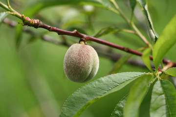 pêche au printemps,pêcher