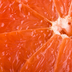 Grapefruit close up