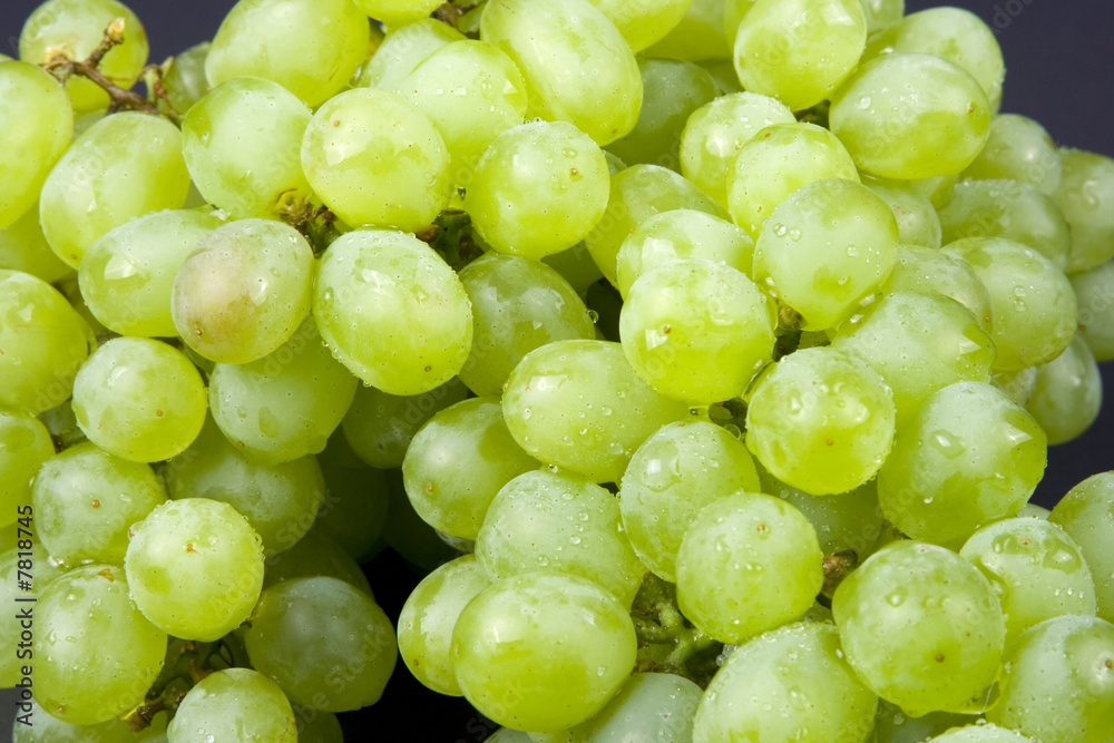 Wall mural grapes