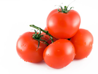 tomato