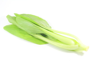 Chinese Cabbage Vegetable