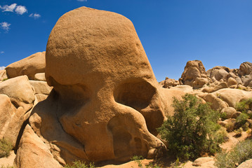 Fototapeta na wymiar Skull Rock Formacje skalne, Joshua Tree National Park