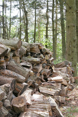 stack of wood