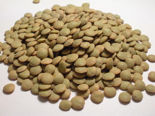 lentils isolated