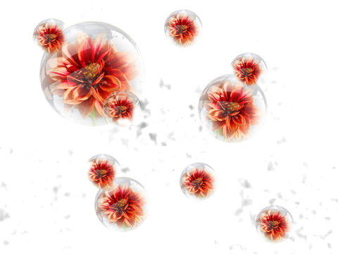 Bubble flowers