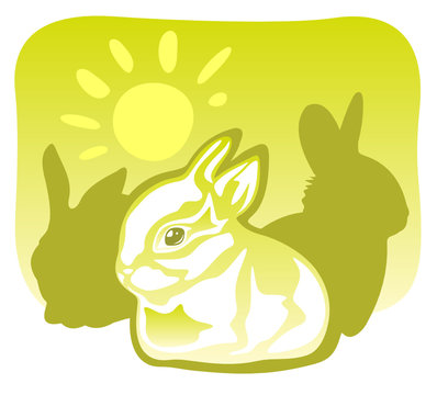 rabbits and sun