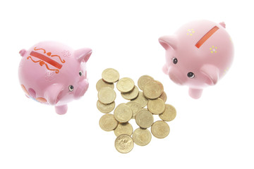Piggy Bank swith Coins